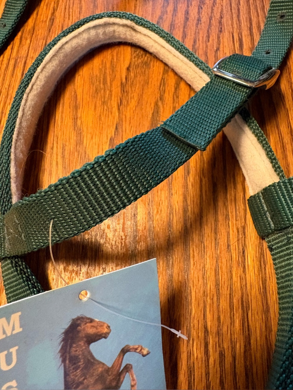 Horse Tack Mustang Green Nylon Noseband Tie Down Matching Reins - Picture 3 of 5